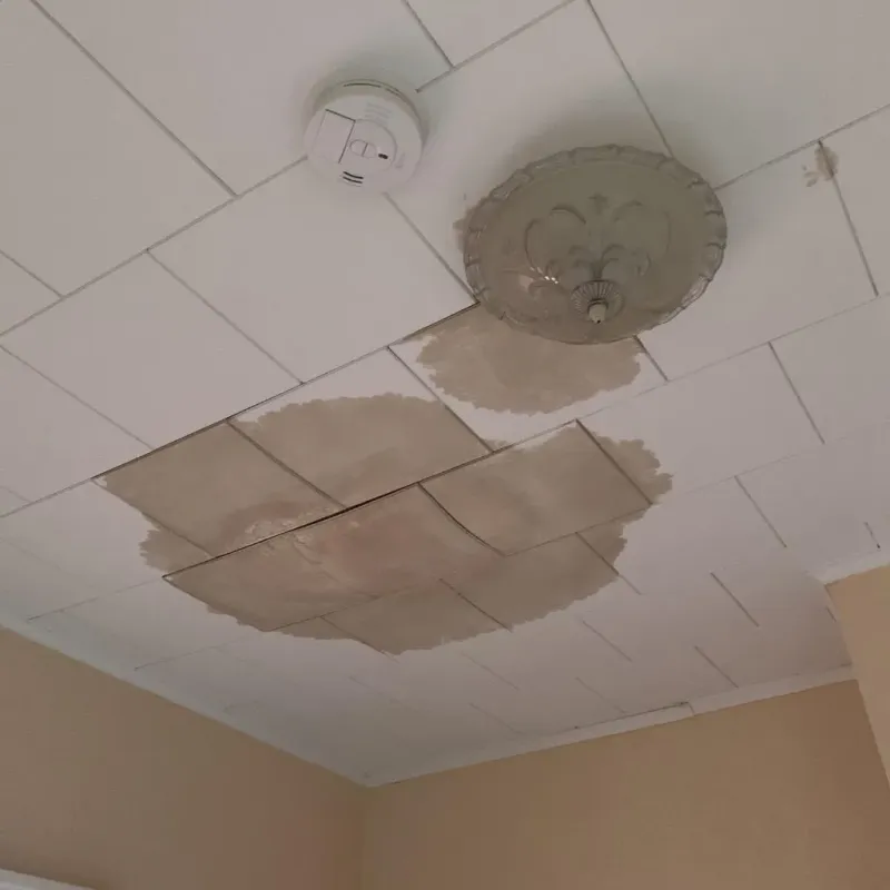 Ceiling Water Damage Repair in Hinesville, GA