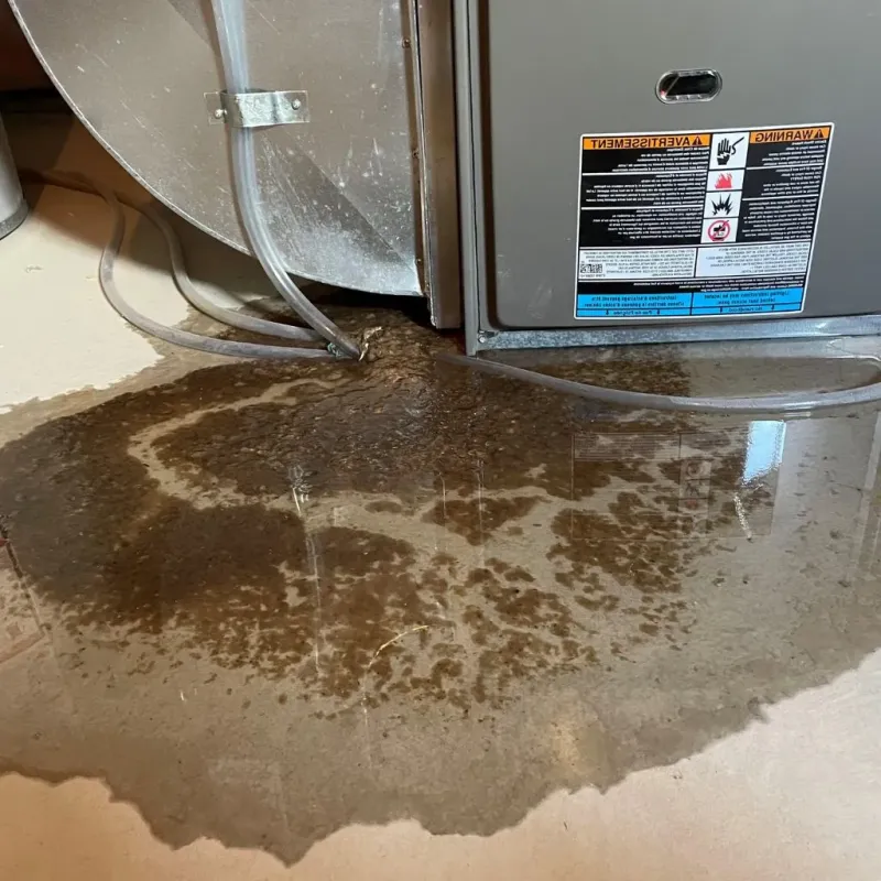 Pipe Burst and Leak Restoration in Hinesville, GA