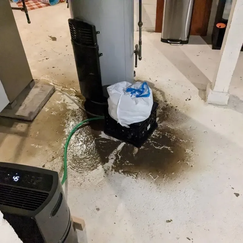 Sewage Backup Cleanup Service in Hinesville, GA